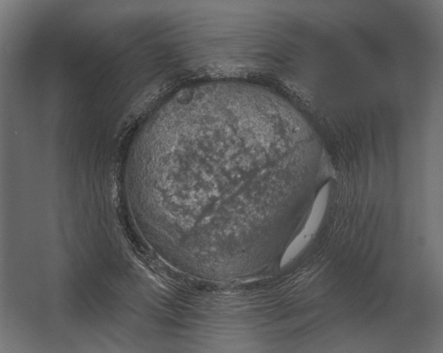 X0000067470687200604211607