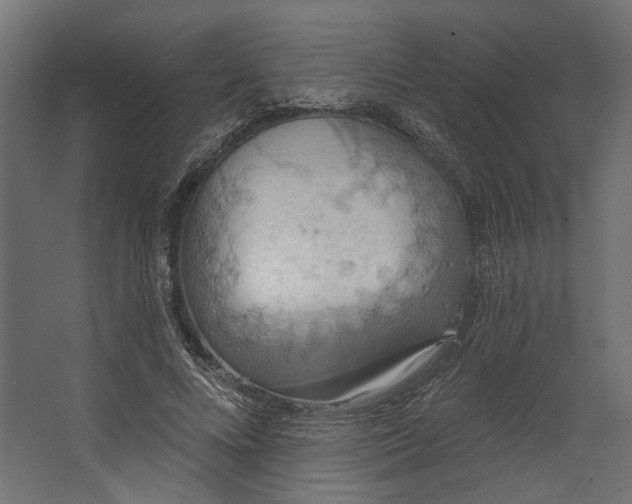 X0000067470688200604211607