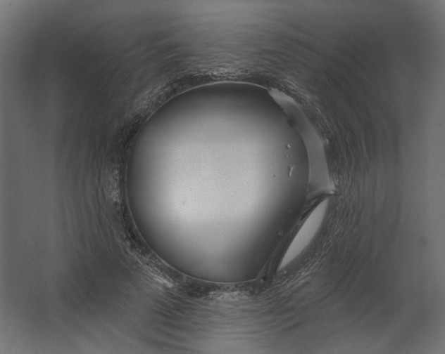 X0000067470689200604211607