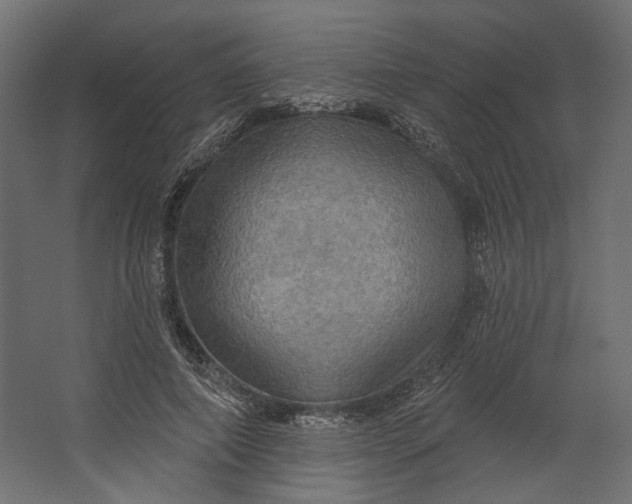 X0000067470690200604211607