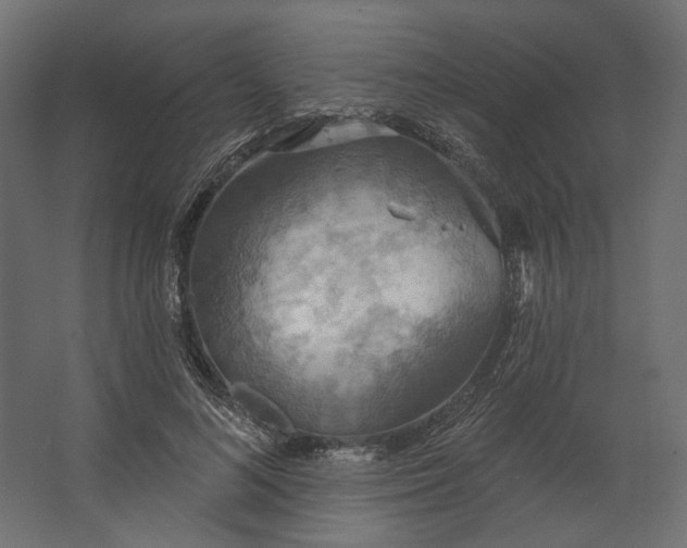 X0000067470692200604211607