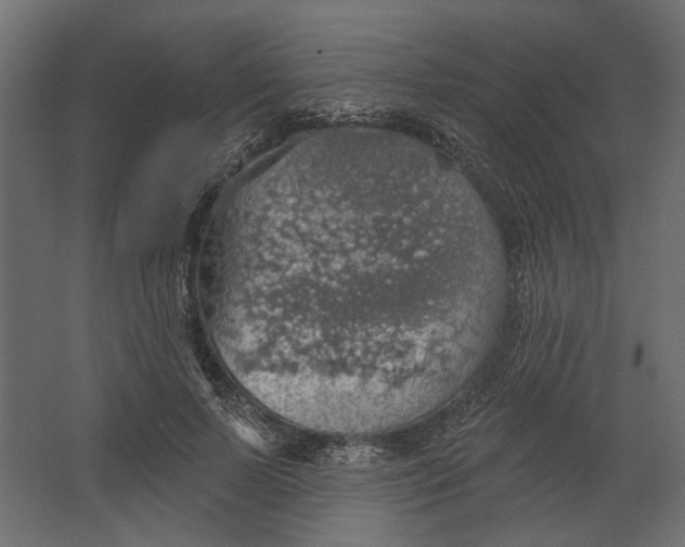 X0000067470695200604211607