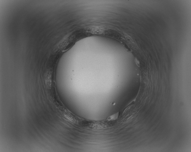 X0000067470697200604211607