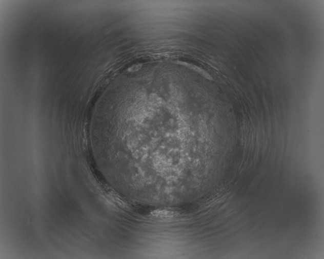 X0000067470699200604211607