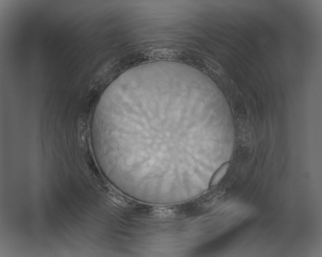 X0000067470701200604211607