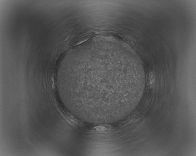 X0000067470703200604211607