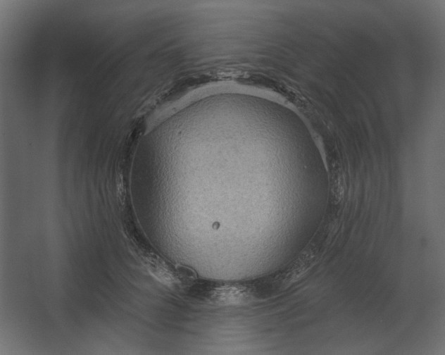 X0000067470704200604211607