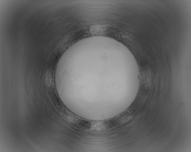 X0000067470705200604211607