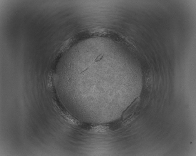 X0000067470708200604211607