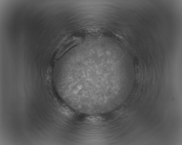 X0000067470712200604211607