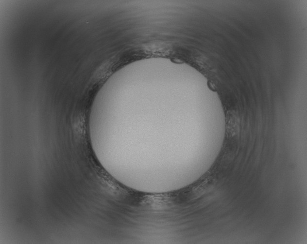 X0000067470713200604211607