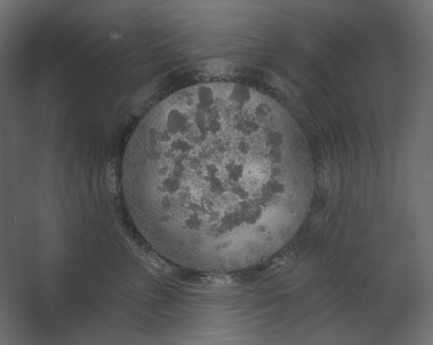 X0000067470715200604211607