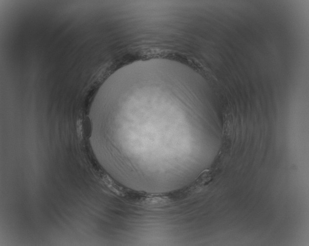 X0000067470716200604211607