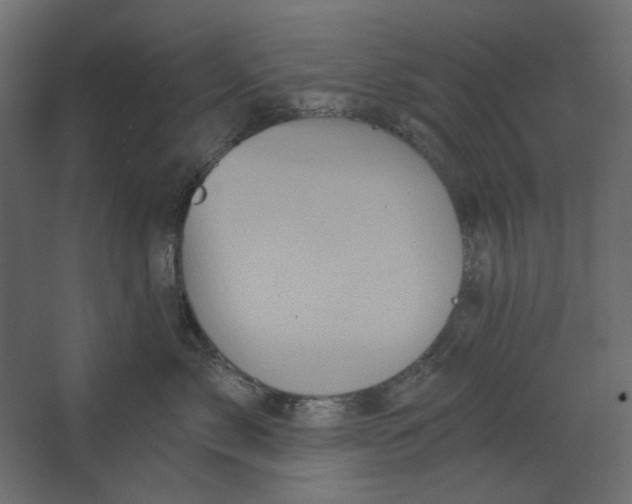 X0000067470717200604211607