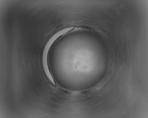 X0000067470720200604211607