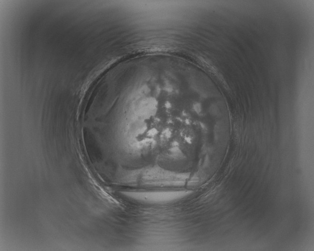 X0000067470721200604211606