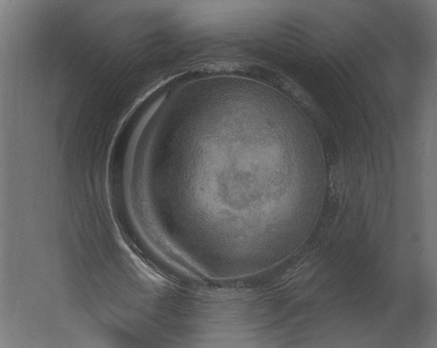 X0000067470722200604211606