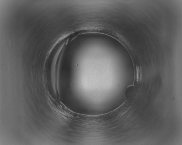 X0000067470723200604211606