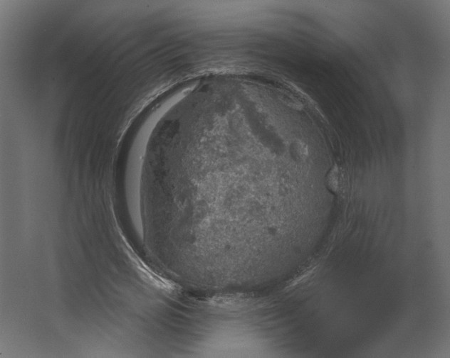 X0000067470725200604211606