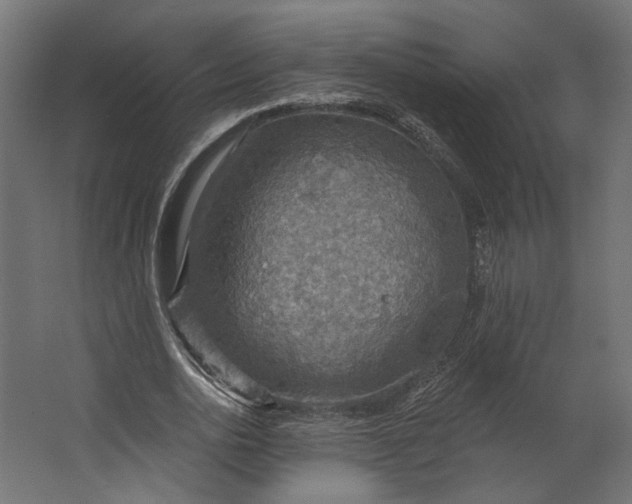 X0000067470726200604211606