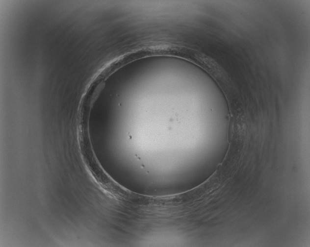 X0000067470728200604211606