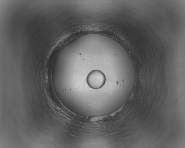 X0000067470731200604211606