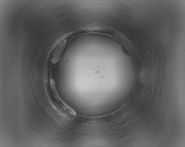 X0000067470732200604211606