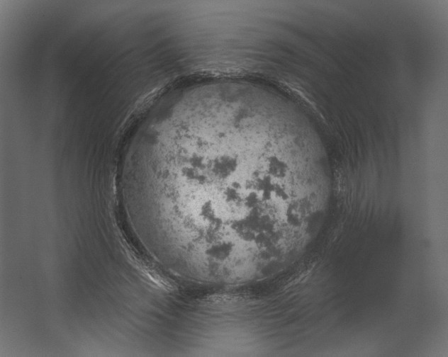 X0000067470733200604211606