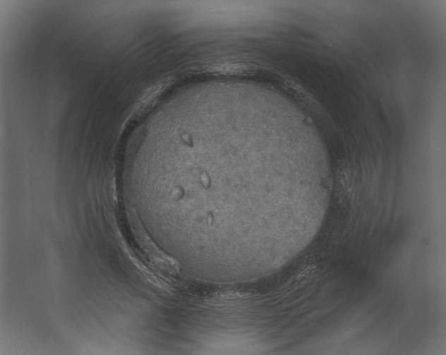 X0000067470734200604211606