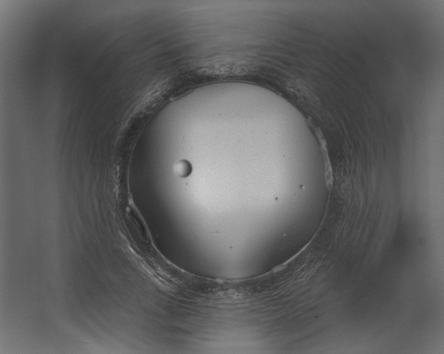 X0000067470735200604211606