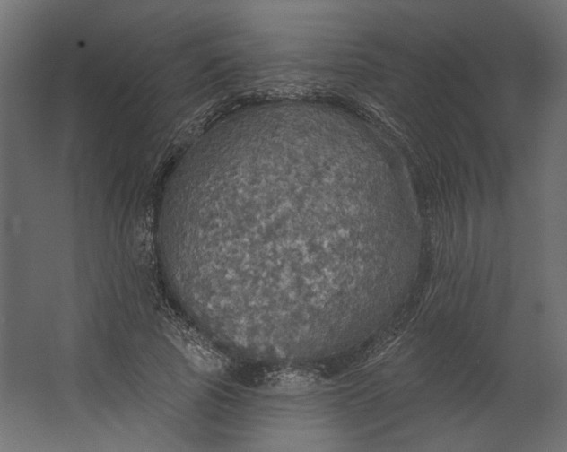 X0000067470737200604211606