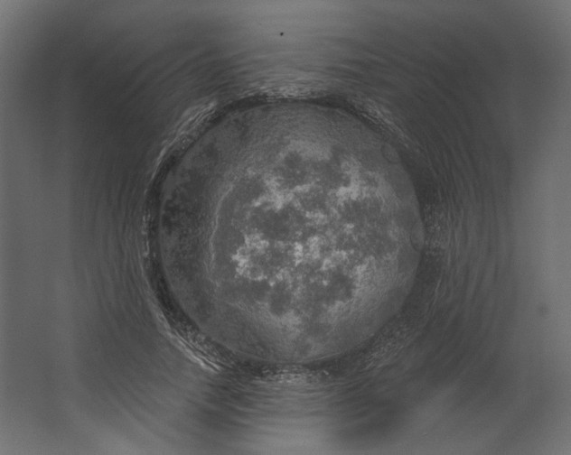 X0000067470738200604211606