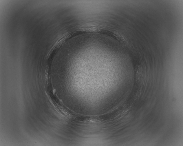 X0000067470739200604211606