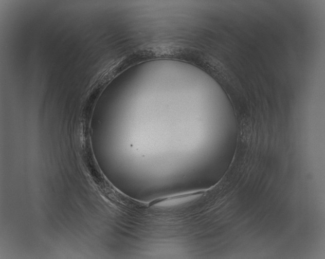 X0000067470740200604211606