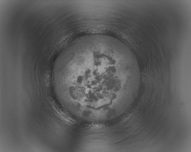 X0000067470741200604211606