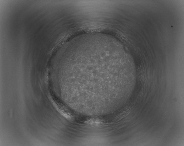 X0000067470742200604211606