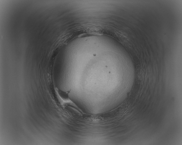 X0000067470743200604211606