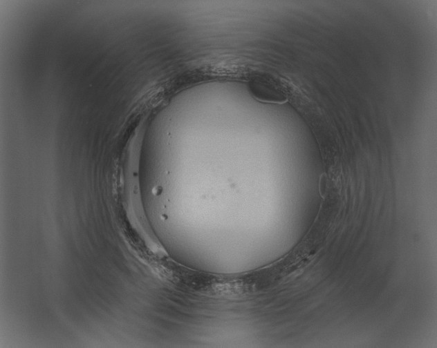 X0000067470744200604211606