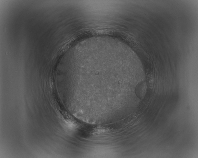 X0000067470746200604211606