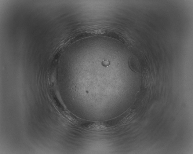 X0000067470747200604211606