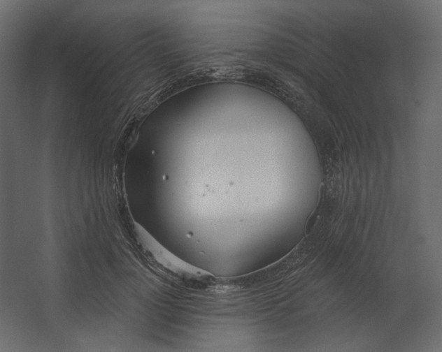 X0000067470748200604211606