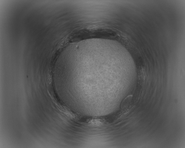 X0000067470751200604211606