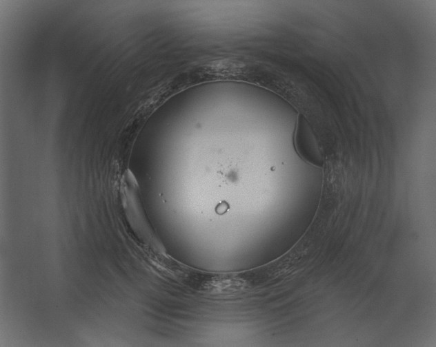 X0000067470752200604211606