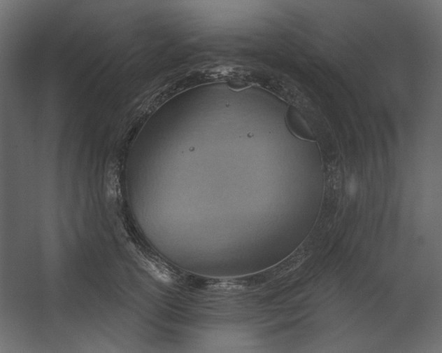 X0000067470754200604211606