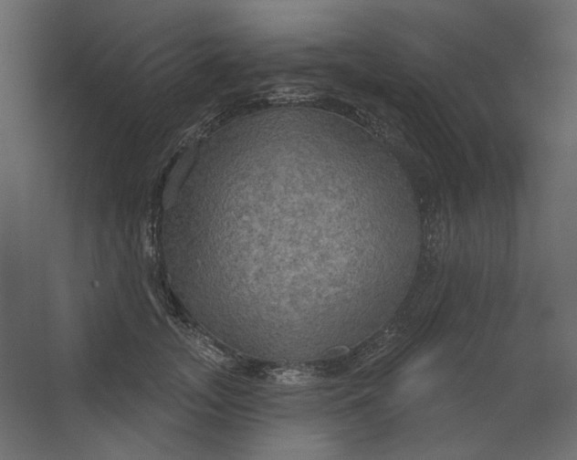 X0000067470755200604211606