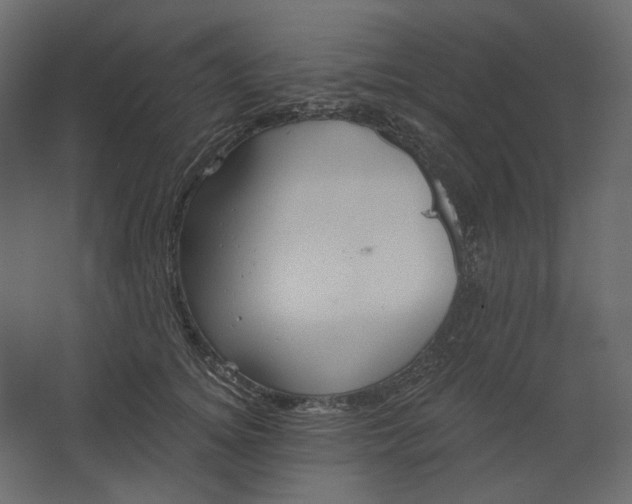 X0000067470756200604211607