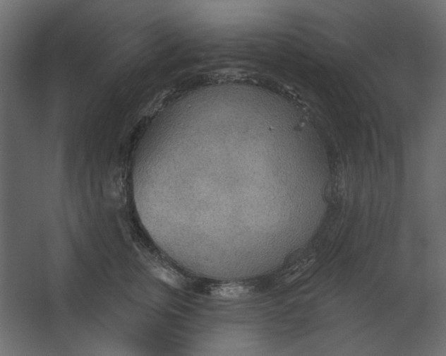 X0000067470759200604211607