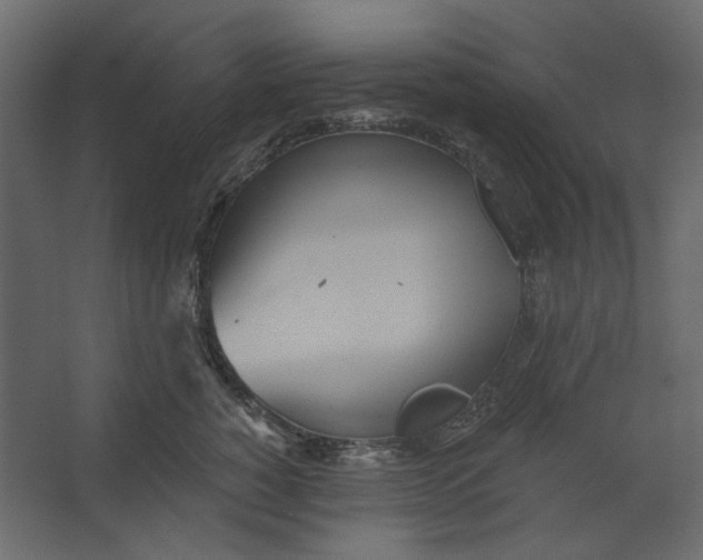 X0000067470760200604211607