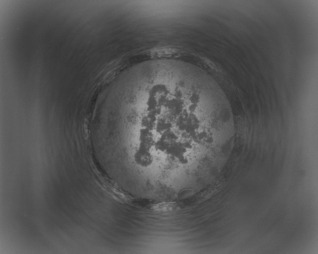 X0000067470761200604211607