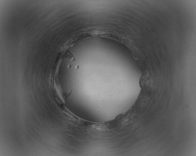 X0000067470763200604211607